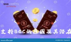 区块链钱包不支持BCC的原因及其潜在影响深度分