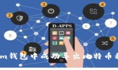 如何在Token.im钱包中成功导出比特币私钥的详尽指