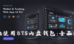 如何安全高效地使用BTS内盘钱包：全面指南与实