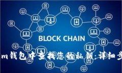 如何在Token.im钱包中查找您的私钥：详细步骤与注