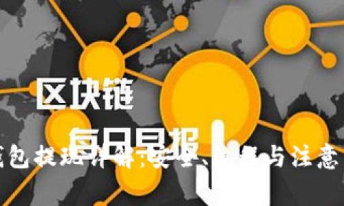 冷钱包提现详解：安全、流程与注意事项