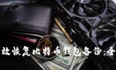 如何有效恢复比特币钱包备份：全面指南