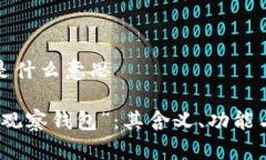 观察钱包是什么意思深入解读“观察钱包”：其