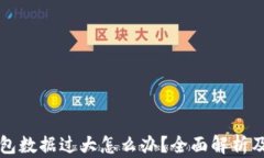 以太坊钱包数据过大怎么办？全面解析及解决方