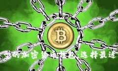 深入解析不同类型的加密货币钱包：选择最适合