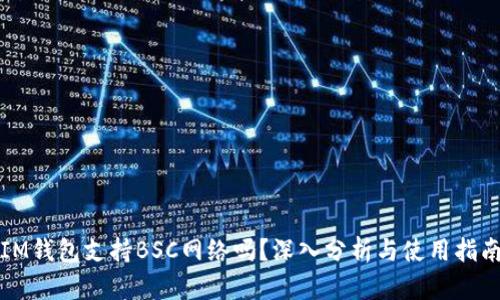 IM钱包支持BSC网络吗？深入分析与使用指南
