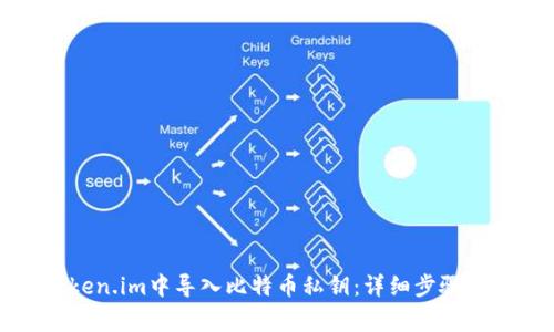 如何在Token.im中导入比特币私钥：详细步骤与注意事项