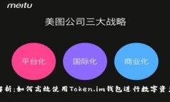 全面解析：如何高效使用Token.im钱包进行数字资产