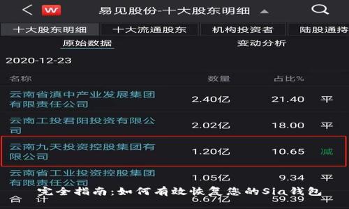  完全指南：如何有效恢复您的Sia钱包