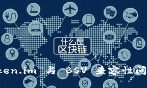 深入了解 Token.im 与 BSV 兼容性问题及解决方案