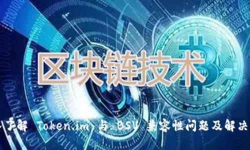 深入了解 Token.im 与 BSV 兼容性问题及解决方案