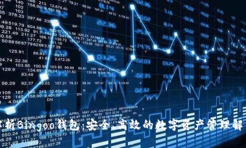 全面解析Bingoo钱包：安全、高效的数字资产管理解决方案