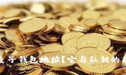 什么是麦子钱包地址？它与私钥的关系详解