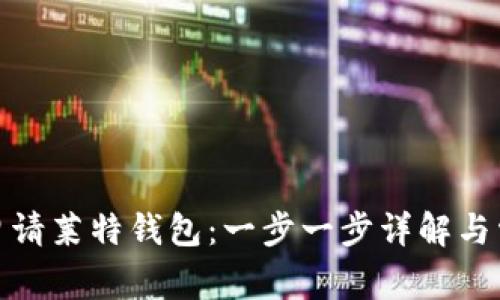 : 如何成功申请莱特钱包：一步一步详解与常见问题解答