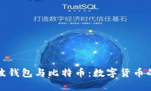 深入了解瑞波钱包与比特币：数字货币的未来与选择