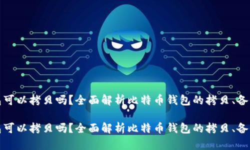 比特币钱包可以拷贝吗？全面解析比特币钱包的拷贝、备份和安全性

比特币钱包可以拷贝吗？全面解析比特币钱包的拷贝、备份和安全性