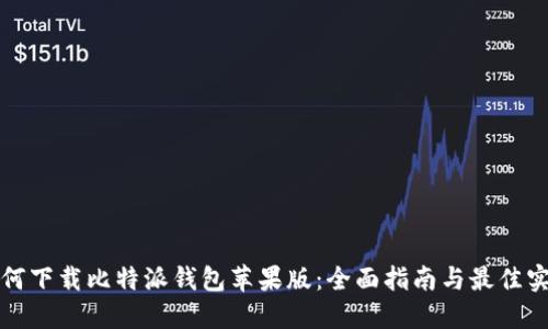 如何下载比特派钱包苹果版：全面指南与最佳实践