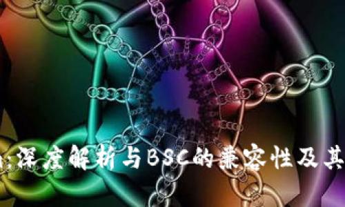 Token.im：深度解析与BSC的兼容性及其应用前景