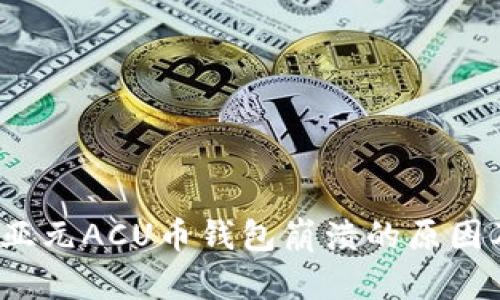 深入探讨：亚元ACU币钱包崩溃的原因及影响分析