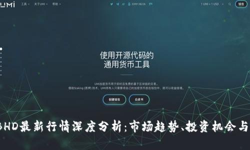 2023年BHD最新行情深度分析：市场趋势、投资机会与风险评估