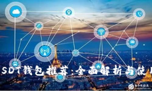 最佳USDT钱包推荐：全面解析与使用指南