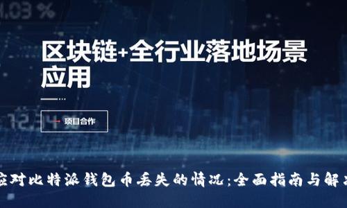 如何应对比特派钱包币丢失的情况：全面指南与解决方案