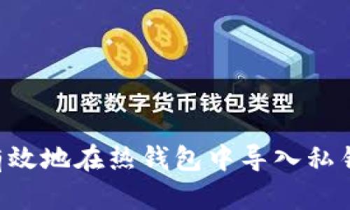如何安全有效地在热钱包中导入私钥：全面指南