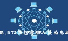 高效解决问题，BTS钱包客服人员为您提供全面支