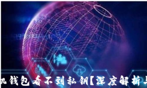 
为什么手机钱包看不到私钥？深度解析与安全隐私